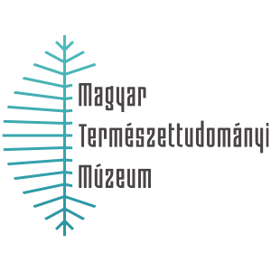 Zengo - Hungarian Natural History Museum Magic Mirror