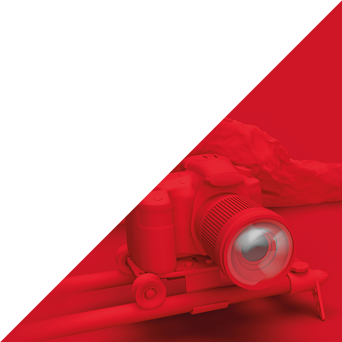 Zengo - Timelapse és Stop motion filmek